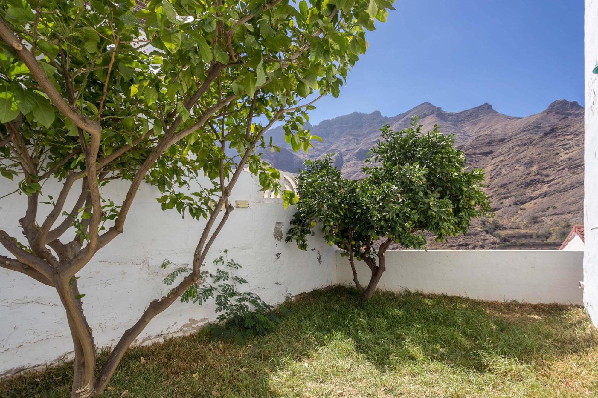 Apartmán Casa Carmen Agaete Con Terraza Y Vistas Al Mar Exteriér fotografie