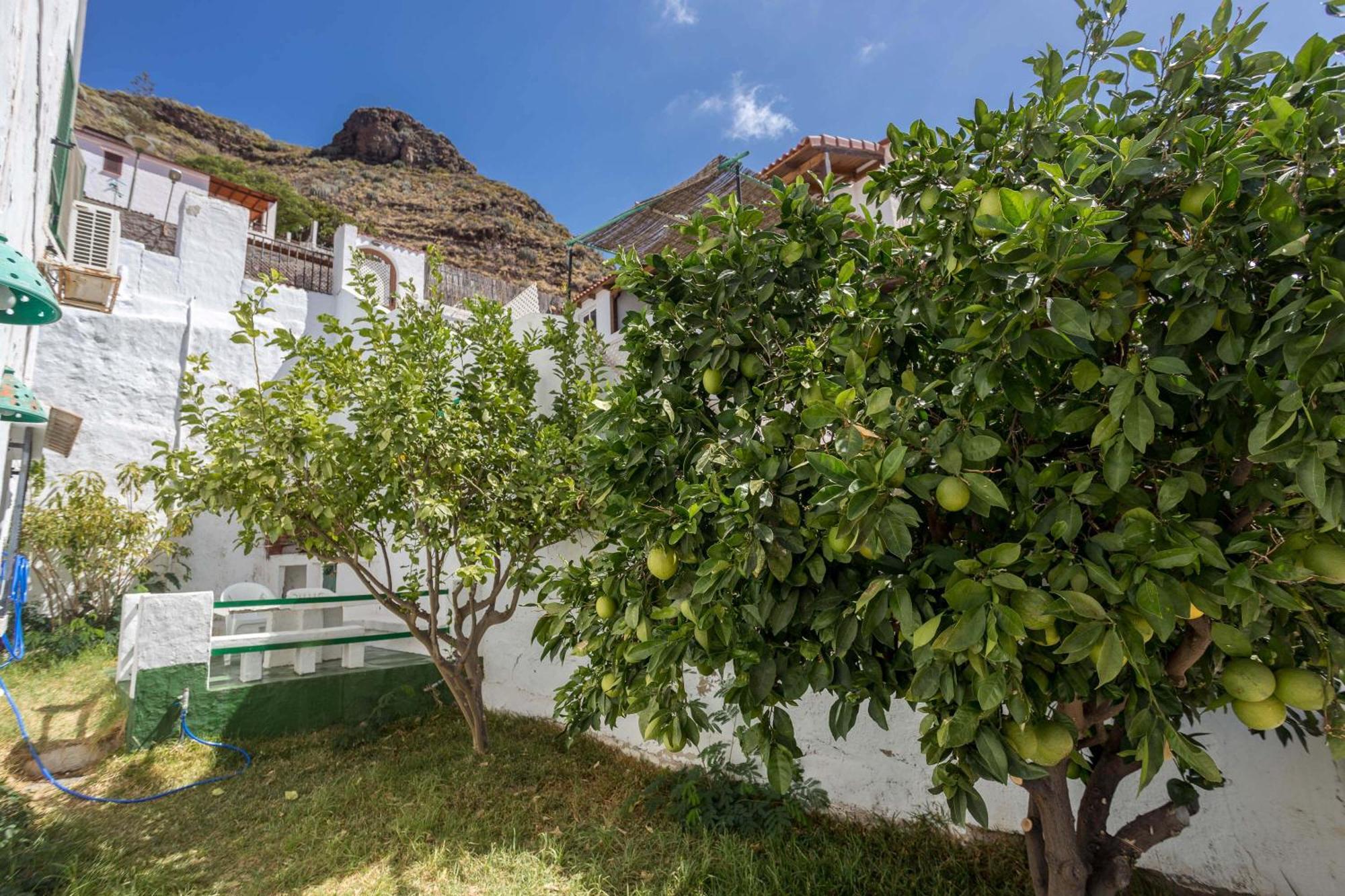 Apartmán Casa Carmen Agaete Con Terraza Y Vistas Al Mar Exteriér fotografie